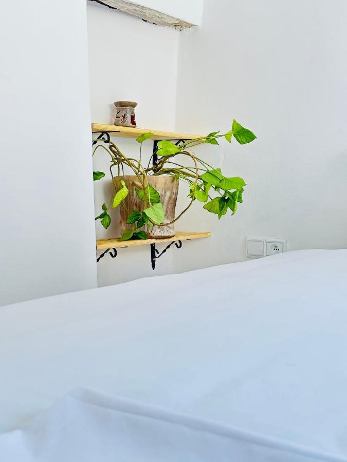 Ocean View House Appartement Essaouira Buitenkant foto